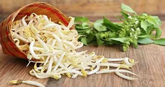 جوانه گندم برای مرغ عشق