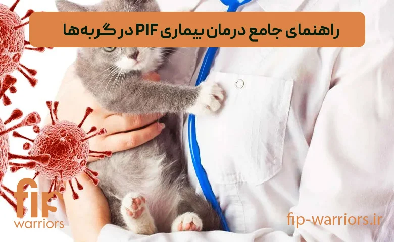 درمان FIP در گربه‌ها: راهکارهای موجود در ایران و چالش‌های پیش رو