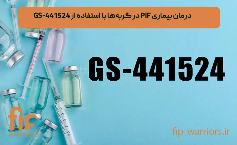 درمان FIP در گربه‌ها: راهکارهای موجود در ایران و چالش‌های پیش رو