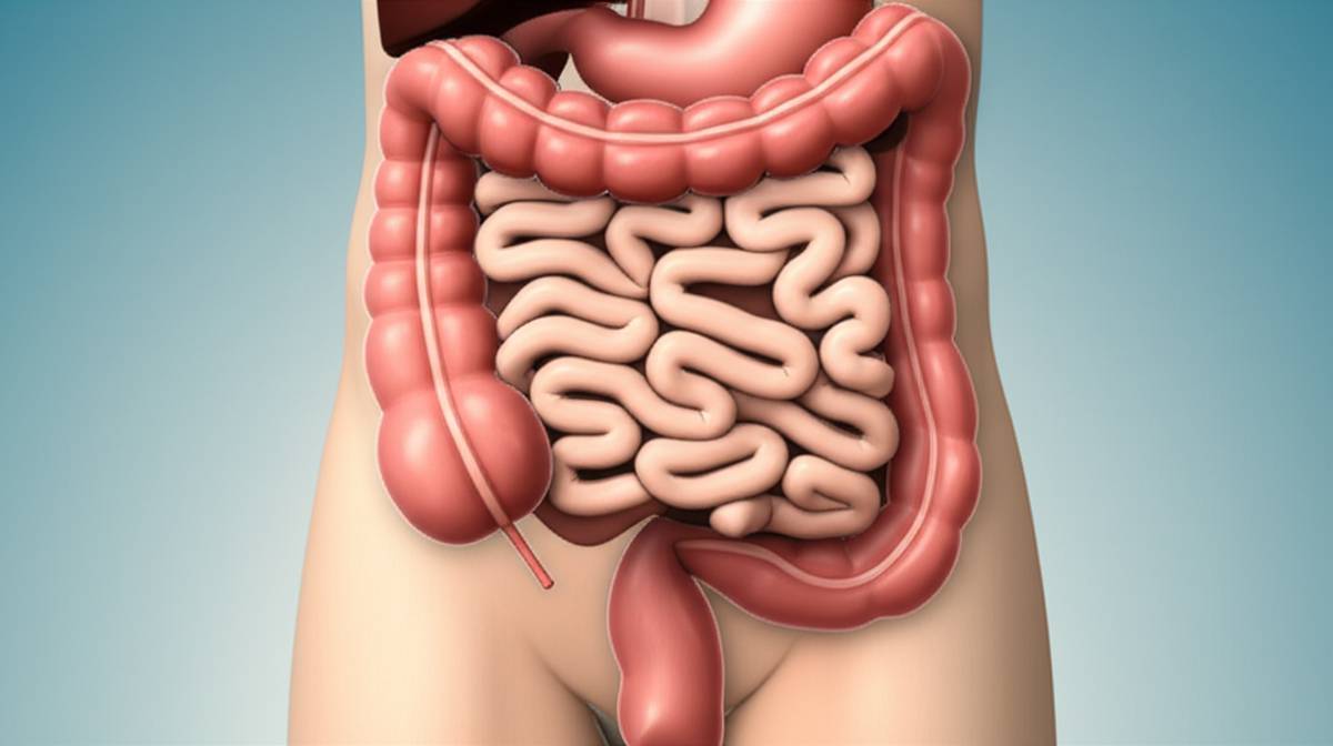 تنبلی روده چیست؟ علل و نشانه های این مشکل گوارشی