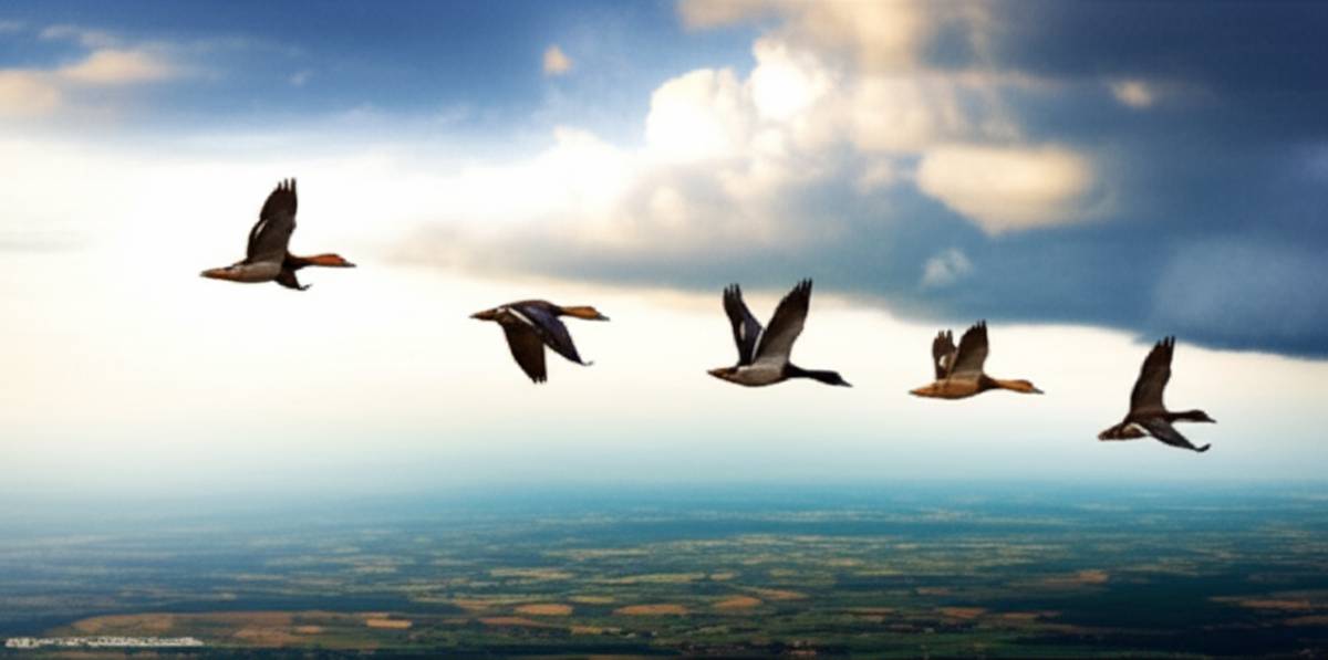 انیمیشن مهاجرت (Migration) | معرفی جامع و اخبار اکران جهانی